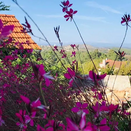 Frazeira 56 Bed and breakfast