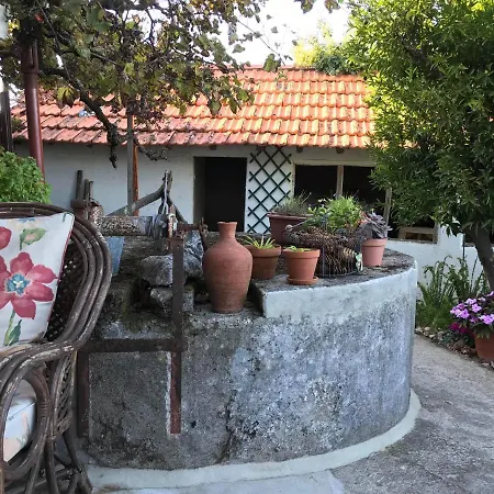 Frazeira 56 Bed and breakfast *